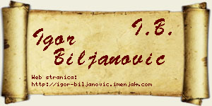 Igor Biljanović vizit kartica